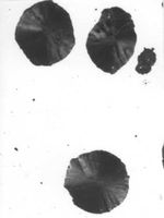 Obr. 14