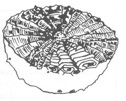 Obr. 25b